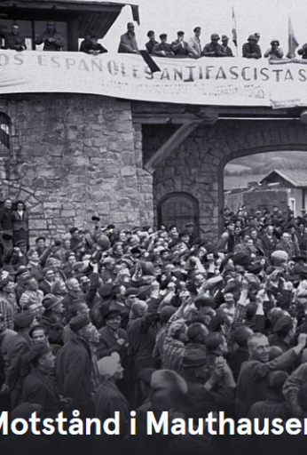 Motstånd i Mauthausen