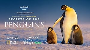 Secrets of the Penguins
